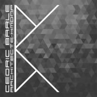 Une collaboration inspirante avec Cédric Barle Architecture